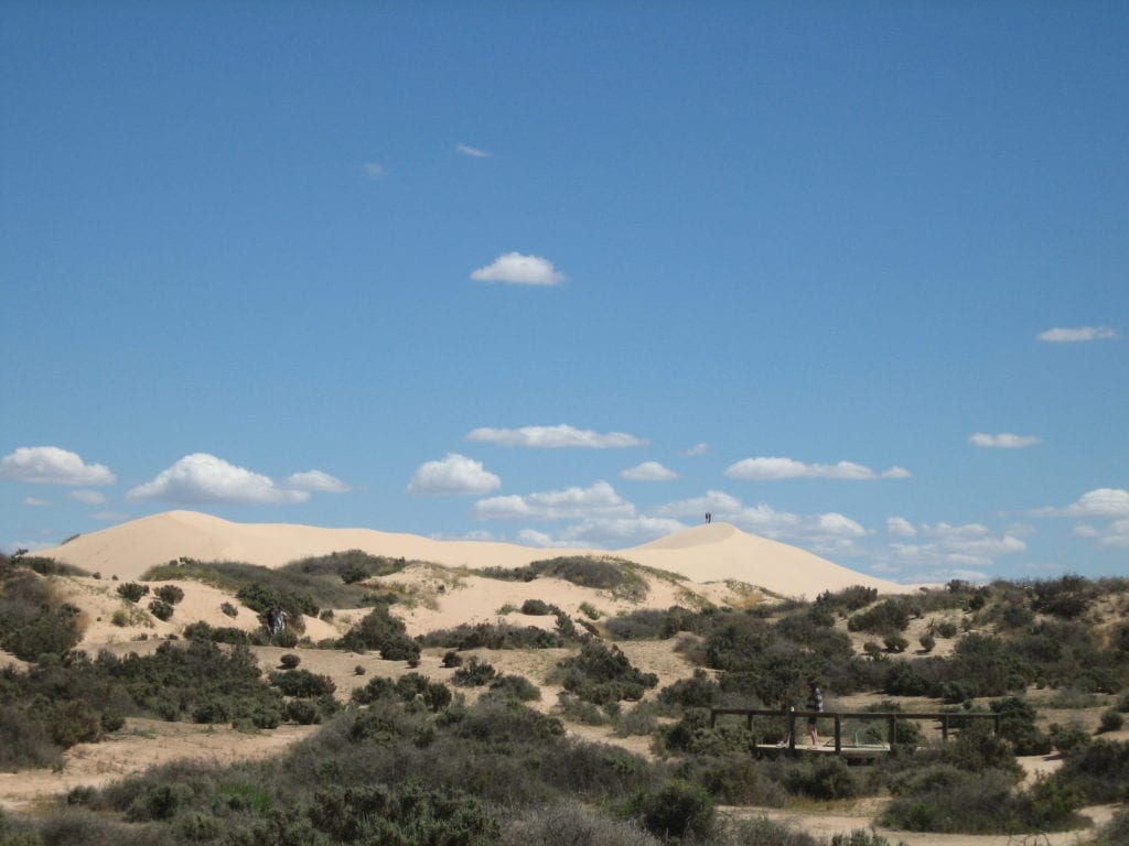 Mungo National Park