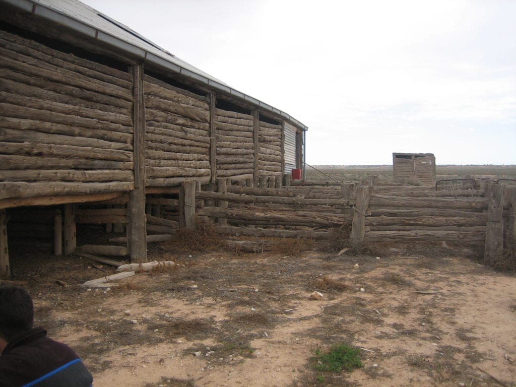 Mungo National Park