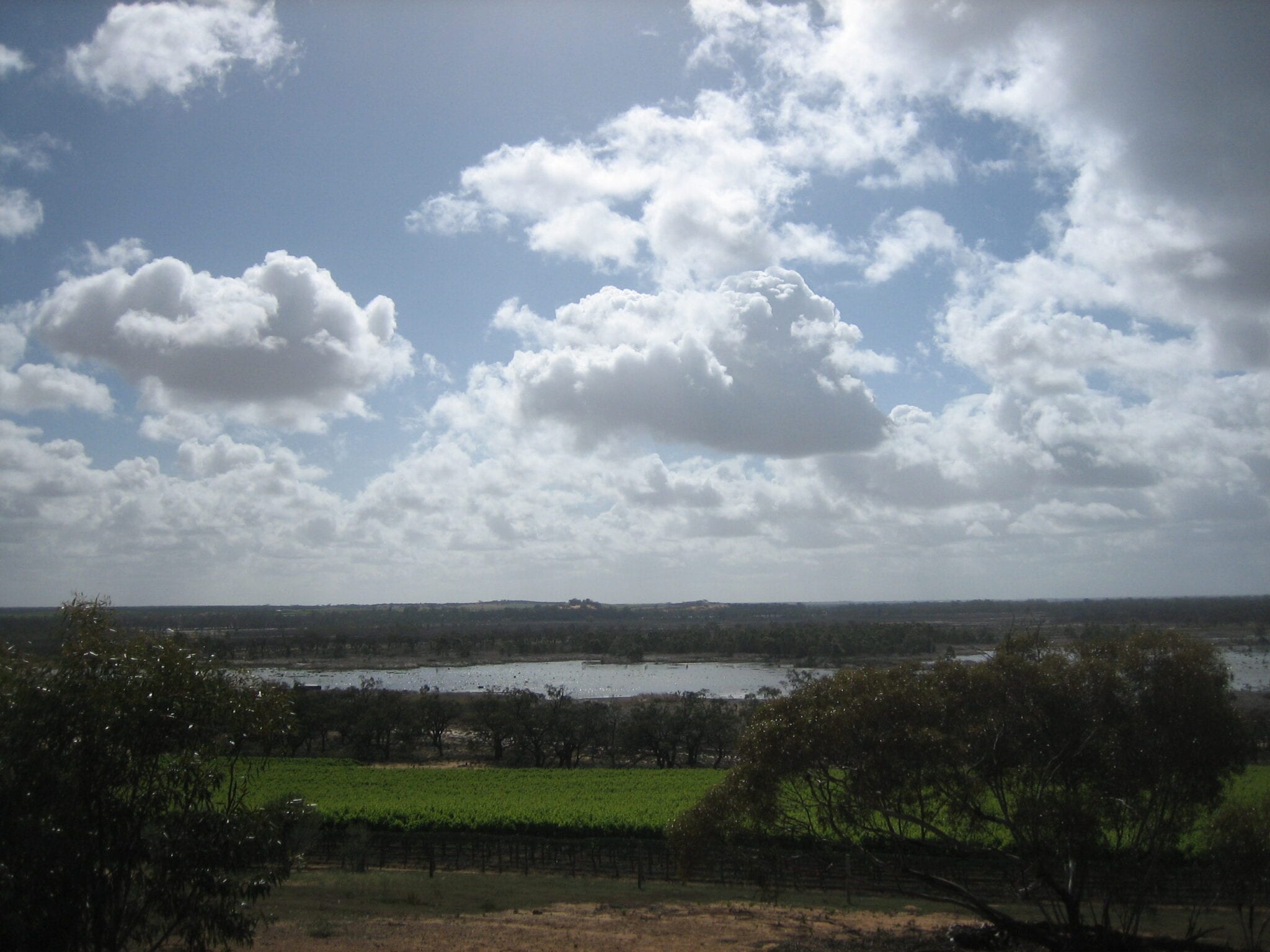 Banrock Station Renmark South Australia