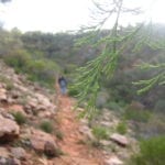 Mt Remarkable National Park South Australia