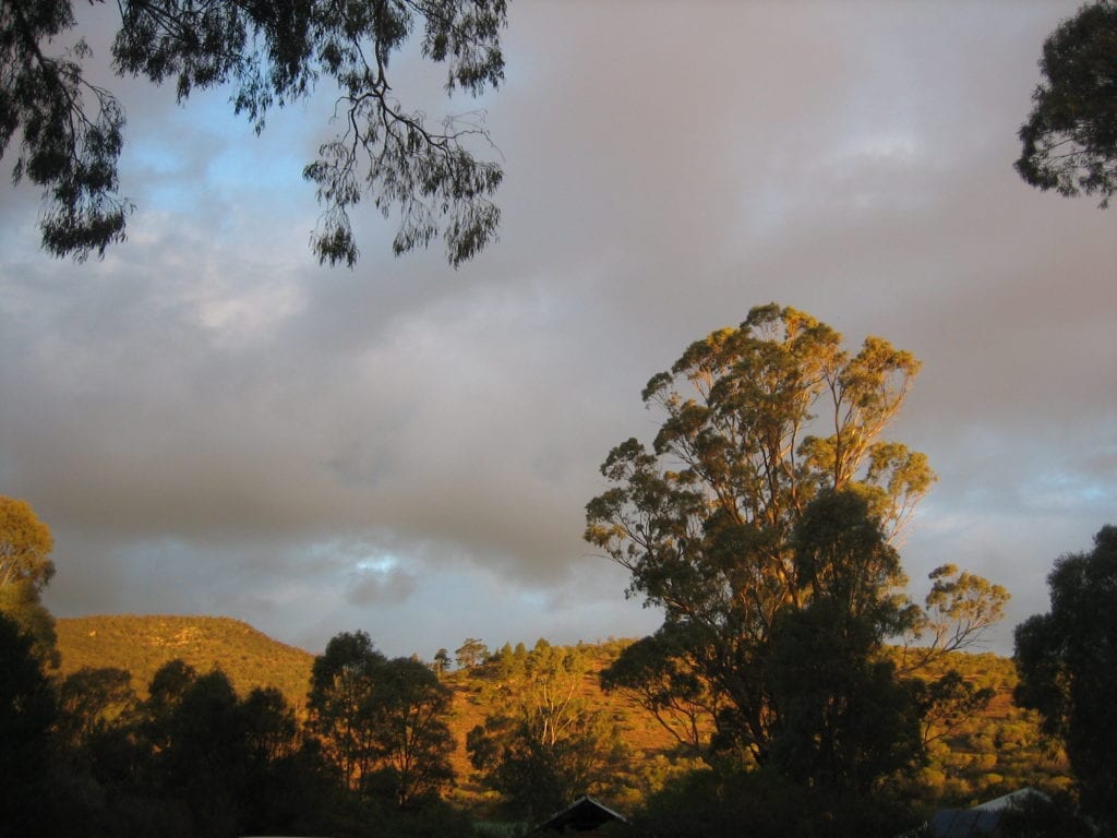 Mambray Creek Campground, Mt Remarkable National Park, South Australia