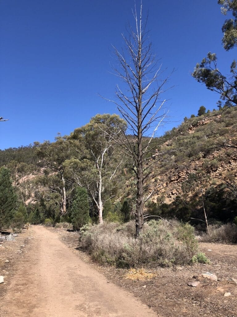 The Mambray Valley Hike in drier times.