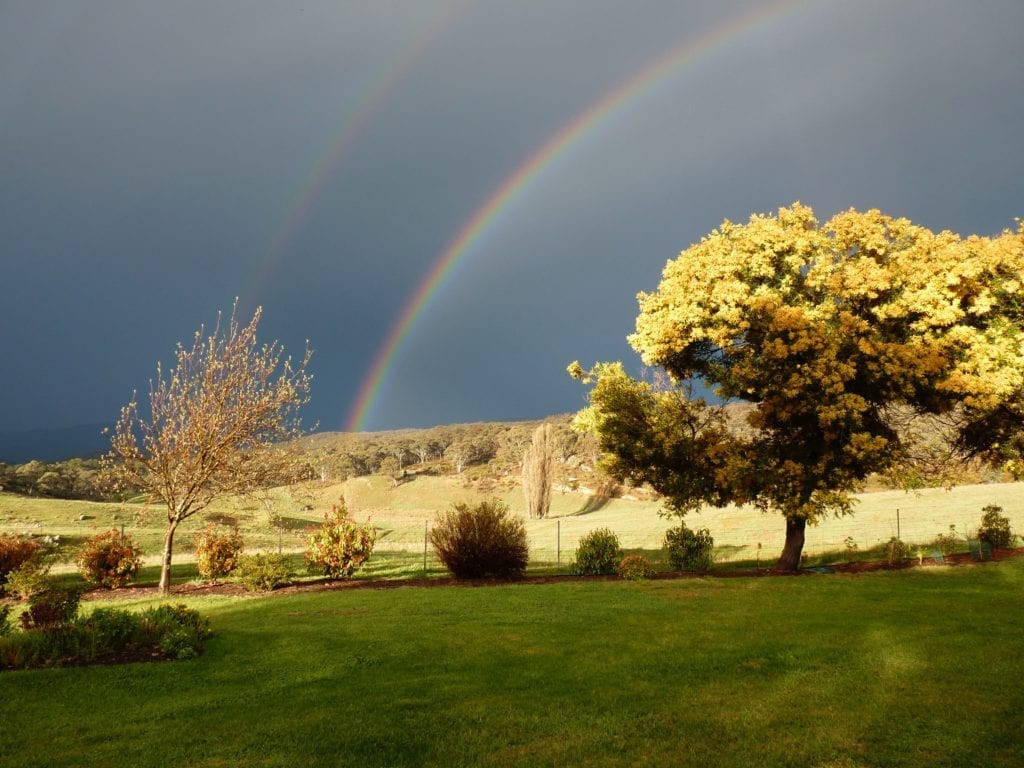 Rainbow Burra Creek New South Wales travel Australia