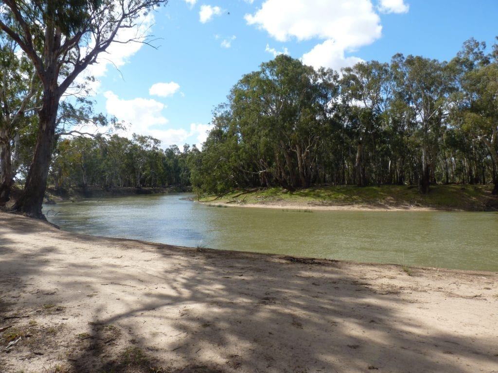 Birdcage Reserve. Camping on the Murrumbidgee River, New South Wales Australia.