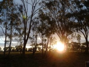 Sunset Birdcage Reserve New South Wales