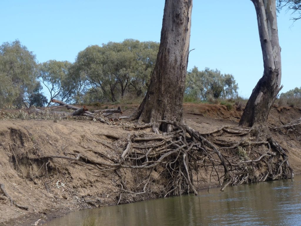 Birdcage Reserve. Camping on the Murrumbidgee River, New South Wales Australia.