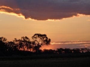 Sunset Birdcage Reserve New South Wales