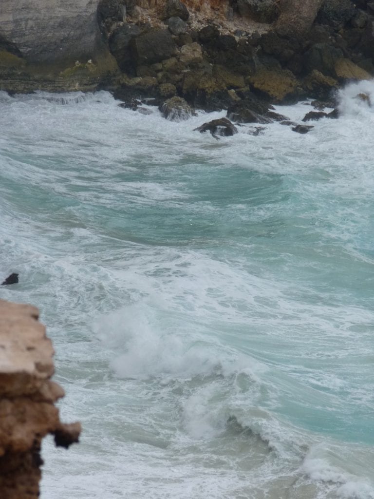 Great Australian Bight, Wild Ocean