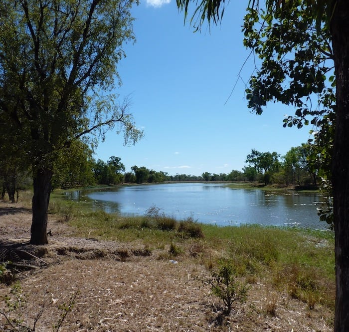 Billabong, Burke Developmental Road Channel Country Queensland