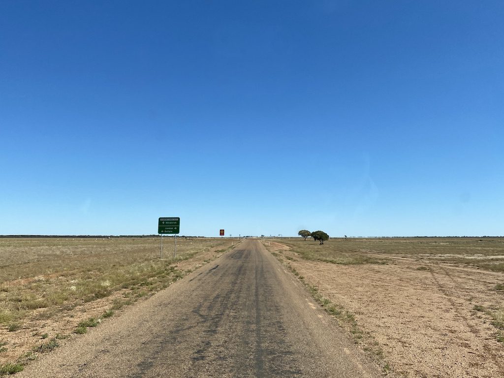 The Barcoo floodplain south of Welford National Park QLD.