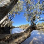 The Barcoo River, western QLD.