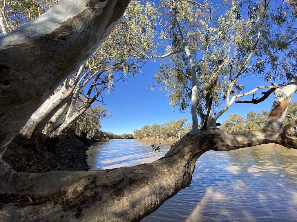 The Barcoo River, western QLD.