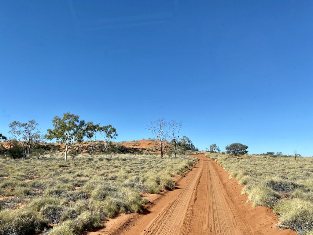 Sand dune on the Desert Drive, Welford National Park QLD.