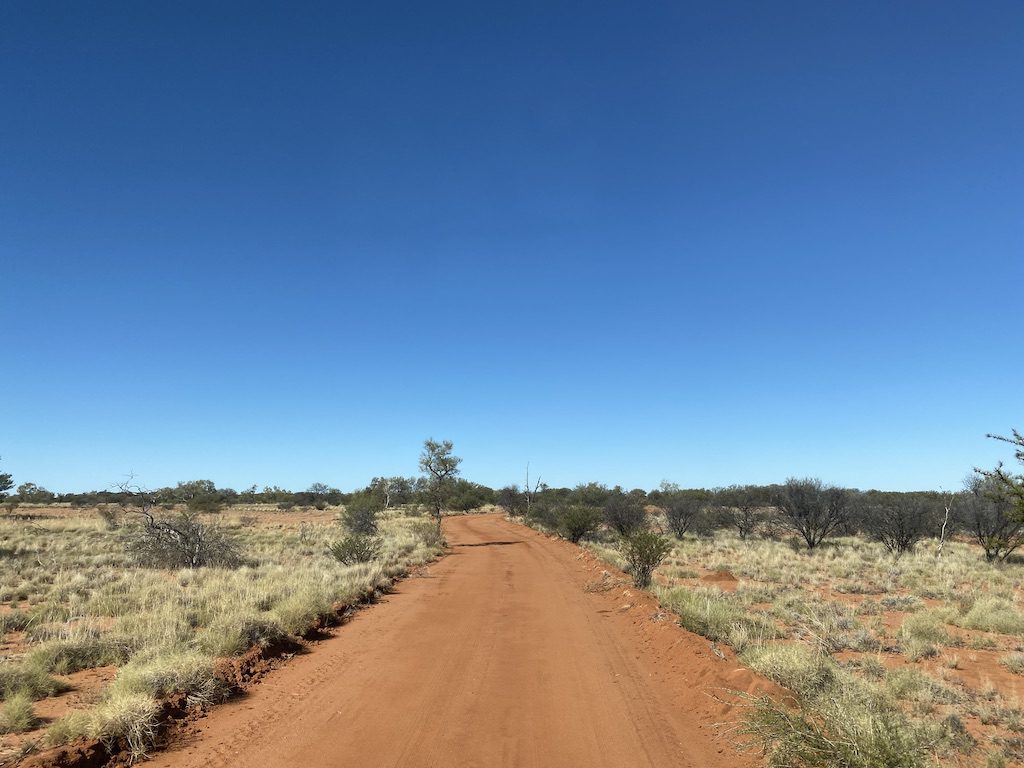 Spinifex plains along the Desert Drive, Welford National Park QLD.