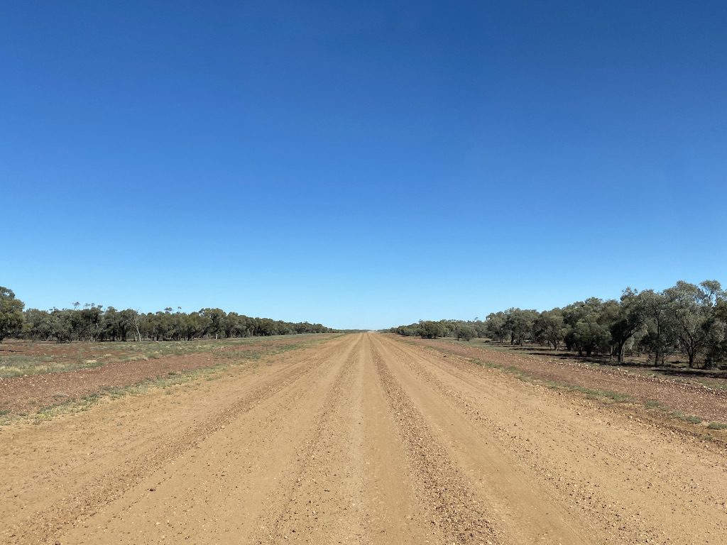 Mulga scrub in western QLD, near Welford National Park.