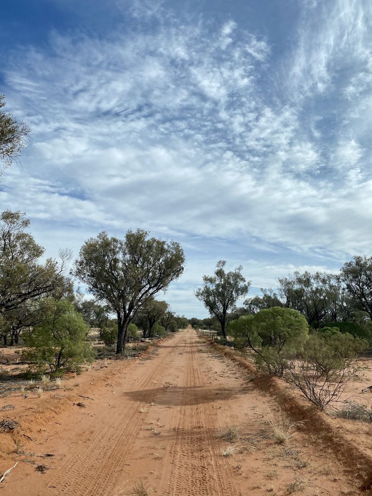 A sandy track on the Mulga Drive, Welford National Park QLD.