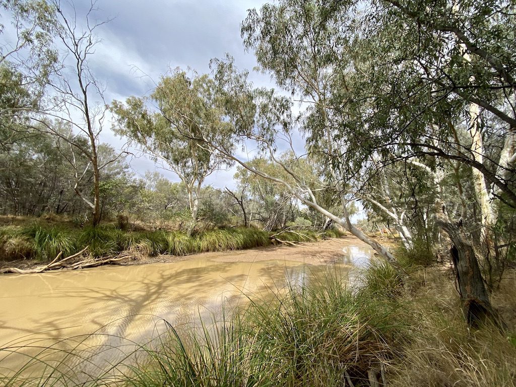 Sawyers Creek on the Mulga Drive in Welford National Park QLD.