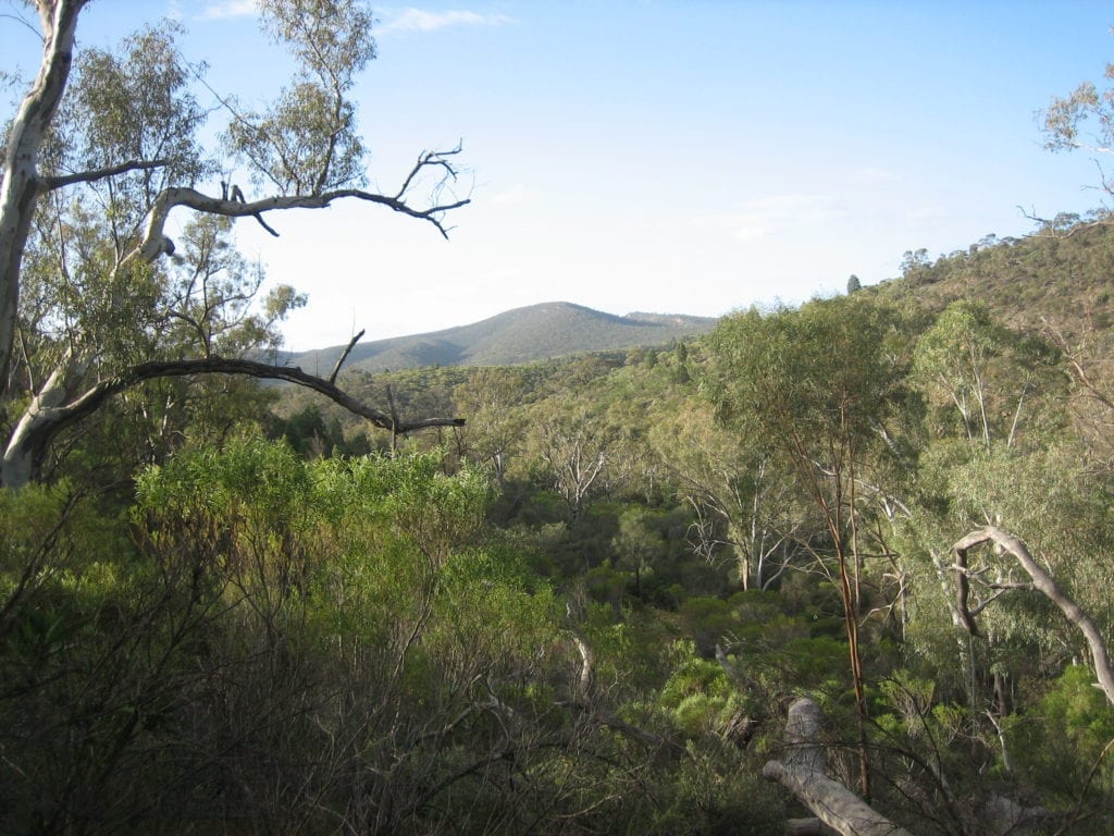 Mambray Creek Campground, Mt Remarkable National Park South Australia