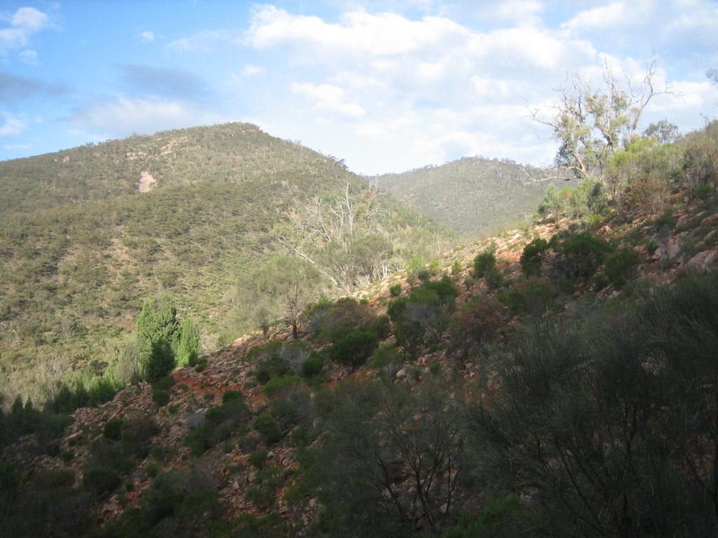 Mambray Creek Campground, Mt Remarkable National Park South Australia