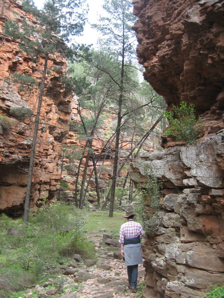 Hidden Gorge Walk, Mt Remarkable National Park South Australia