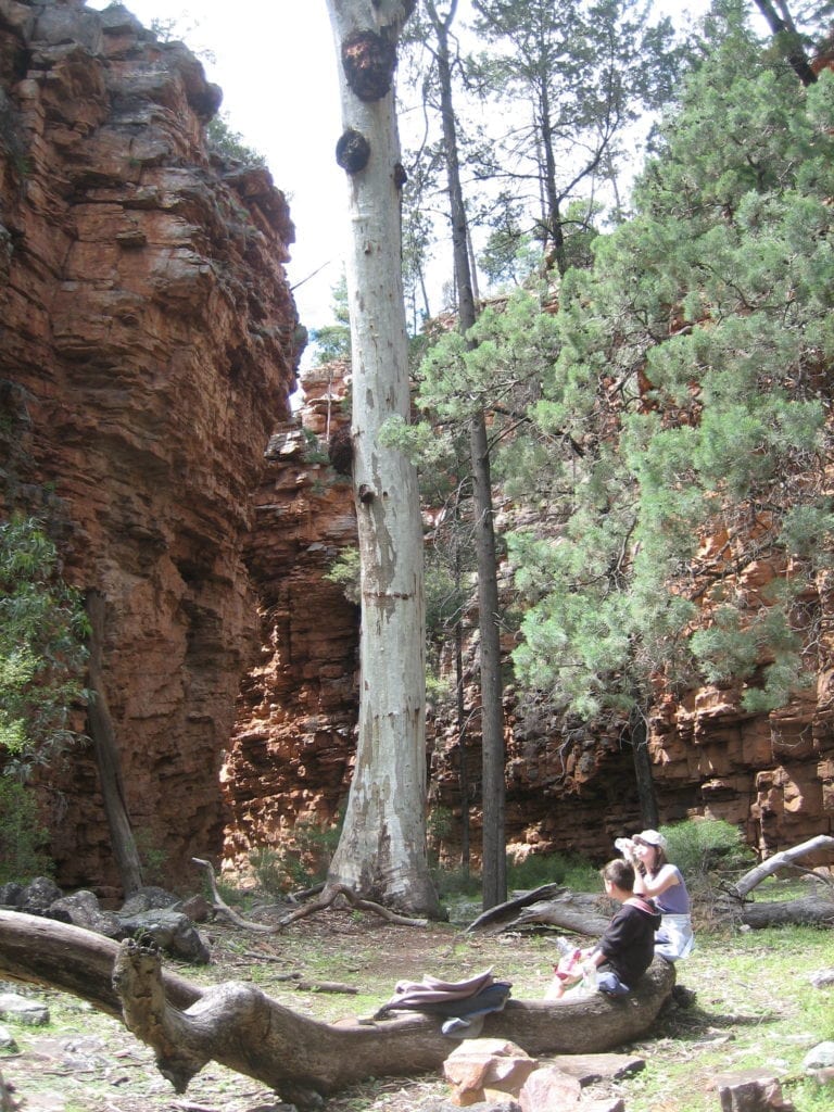 Hidden Gorge Walk, Mt Remarkable National Park South Australia