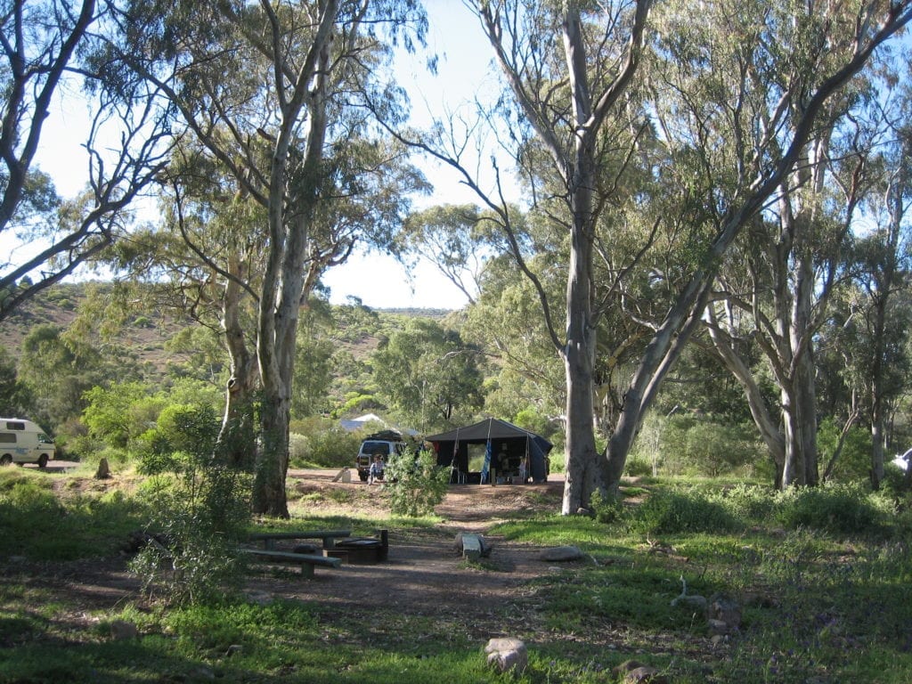 Mambray Creek Campground, Mt Remarkable National Park, South Australia