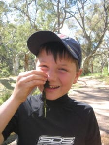 Mambray Creek Campground, Mt Remarkable National Park, South Australia