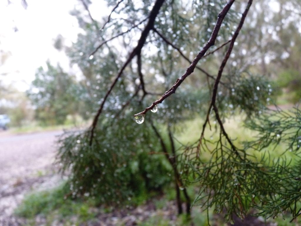 Mambray Creek Campground, Mt Remarkable National Park, South Australia