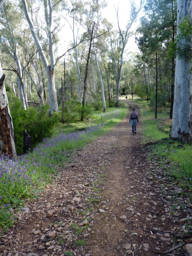 Hidden Gorge Walk, Mt Remarkable National Park, South Australia