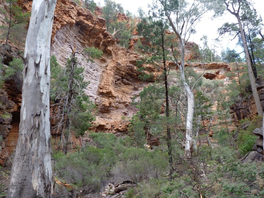 Hidden Gorge Walk, Mt Remarkable National Park, South Australia