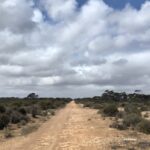 Old Eyre Highway, Nullarbor Plain. Unusual travel destinations.