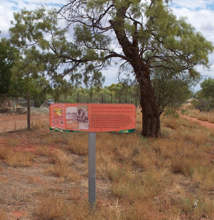 The Dog Fence, Hungerford - Camping Paroo River