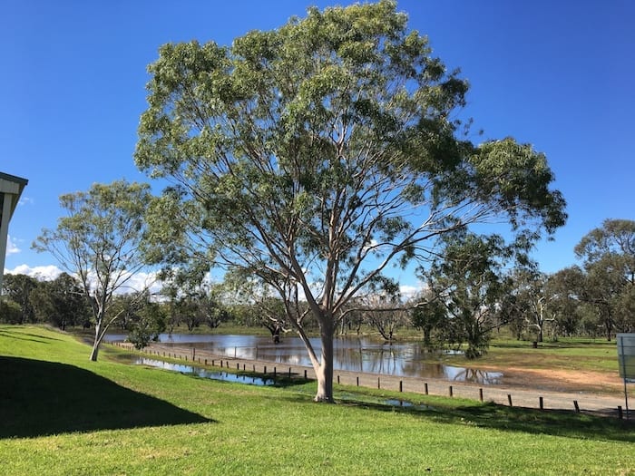 Gum Bend Lake Condobolin NSW