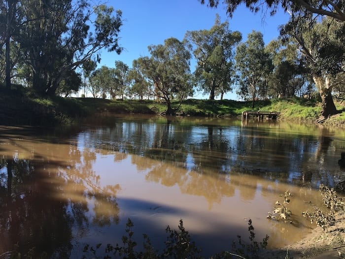 Lachlan River Gum Bend Lake Condobolin NSW