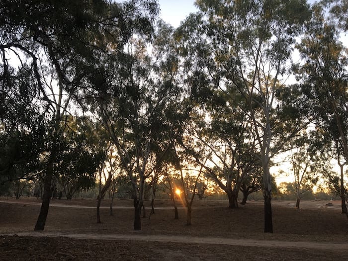 Sunset Louth NSW