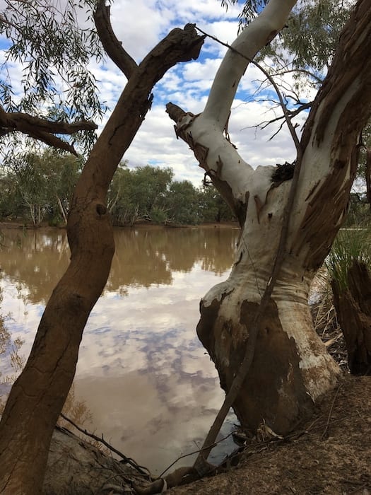 Camping Paroo River