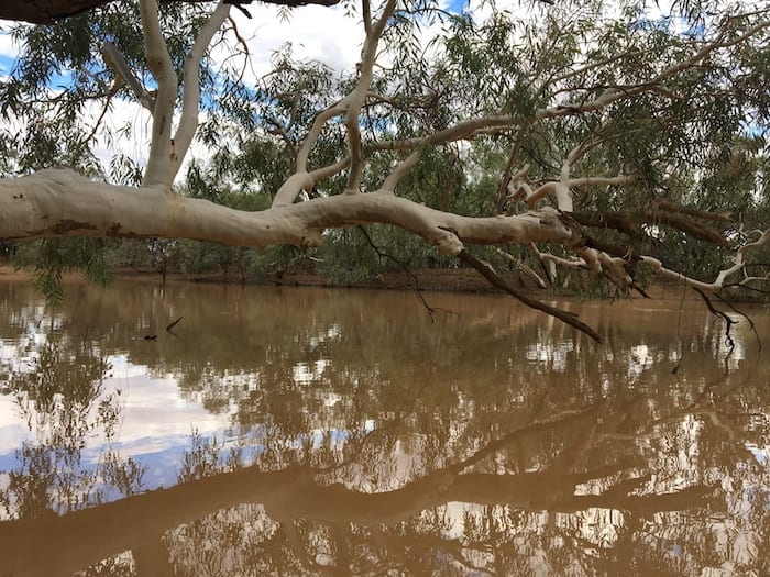 Camping Paroo River