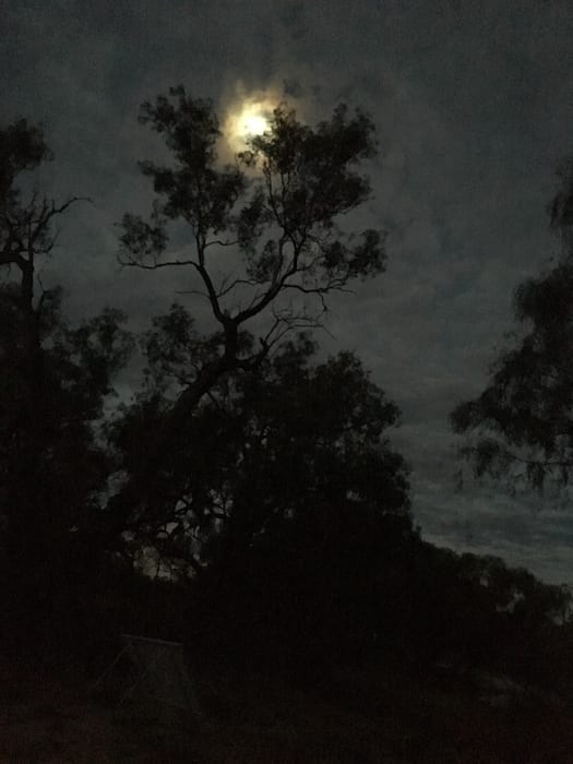 Moonlight, Camping Paroo River