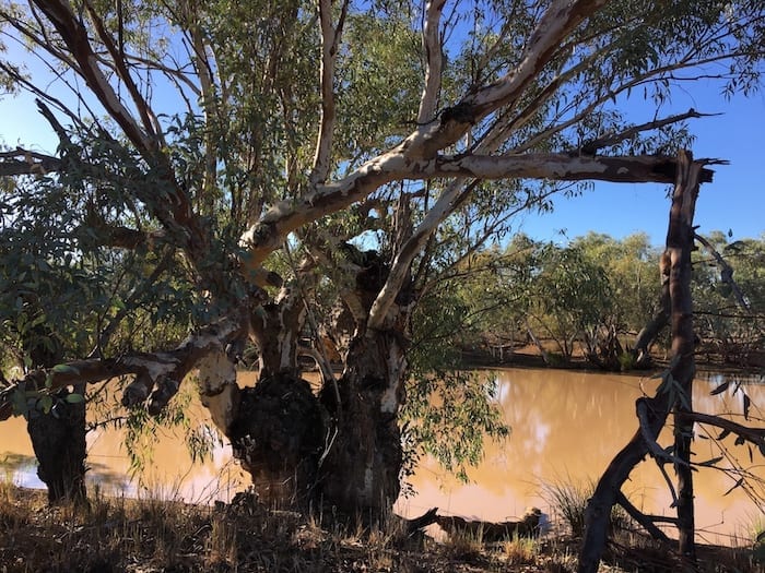 Camping Paroo River