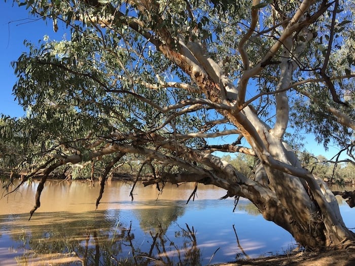 Camping Paroo River