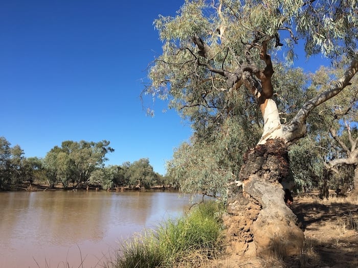 Camping Paroo River