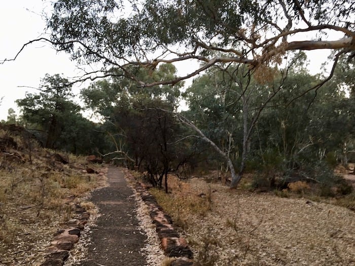 Mutawintji National Park