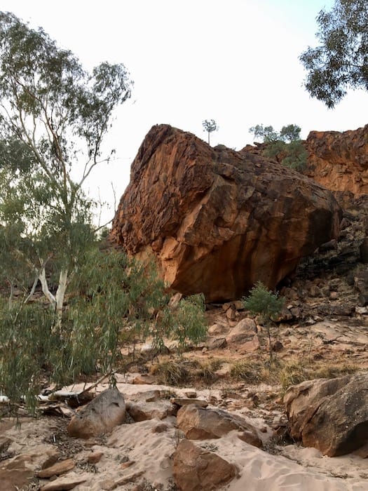 Mutawintji National Park