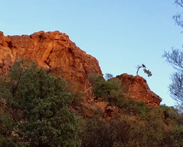 Mutawintji National Park