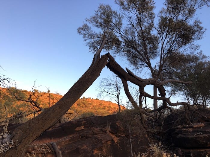 Mutawintji National Park