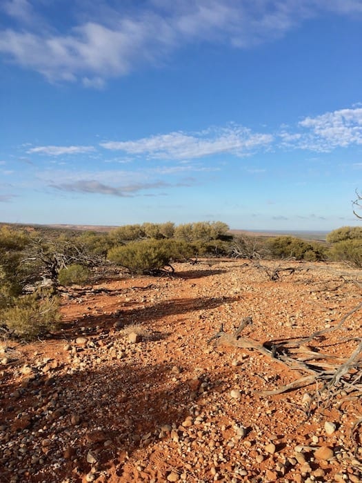 Mutawintji National Park