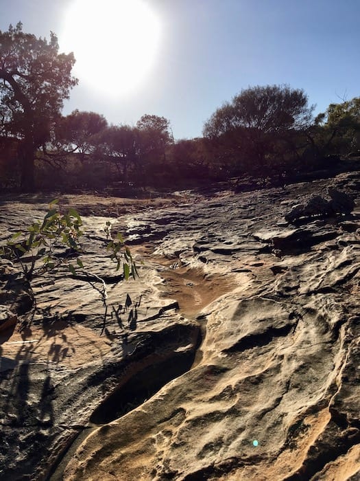 Mutawintji National Park