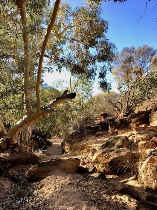 Mutawintji National Park