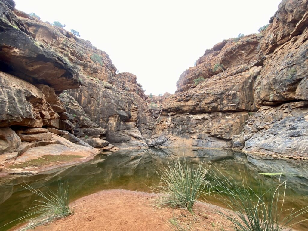 Mutawintji Gorge reflected in the clear waters of the creek.