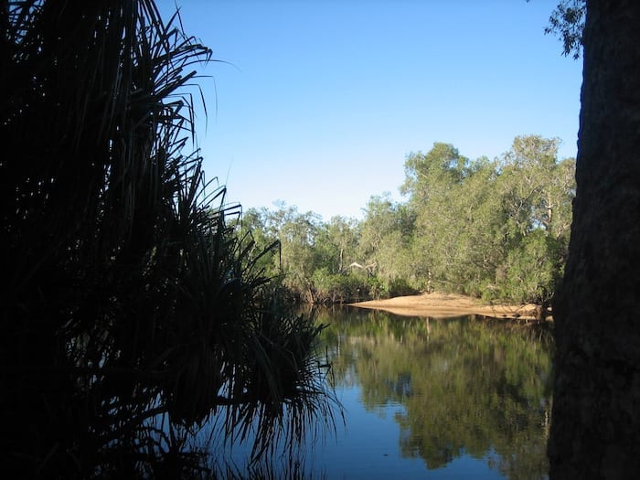 Saltwater Crocodiles - Looks safe enough, until you see the crocodile tracks in the sand. Kakadu, NT